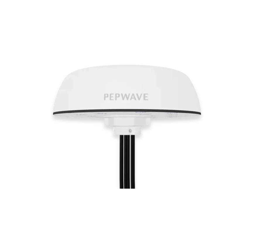 2026_06_02_1034906