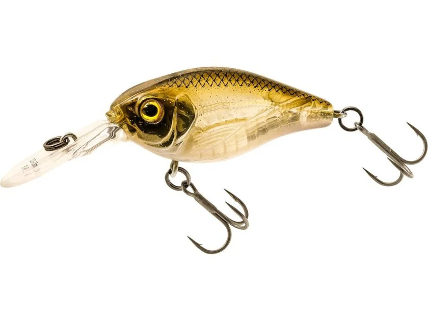 2026_06_02_1045283
